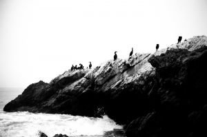 c6-79910017.jpg